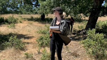 2022/1. - 9. Tree studies