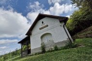 Októberi madárgyűrűzés a Szitakötő Háznál