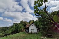 Októberi madárgyűrűzés a Szitakötő Háznál