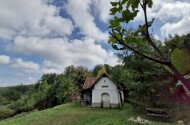 Májusi madárgyűrűzés a Szitakötő háznál