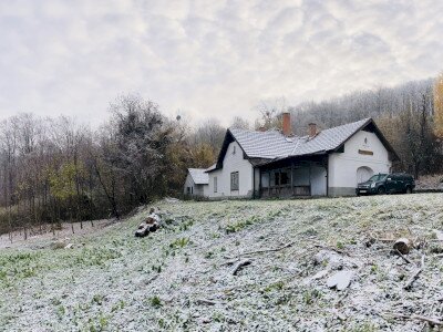 Photo_15-11-2024__07_28_08_1920