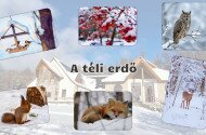 A téli erdő - természetismereti foglalkozások óvodásoknak a Harkály Házban