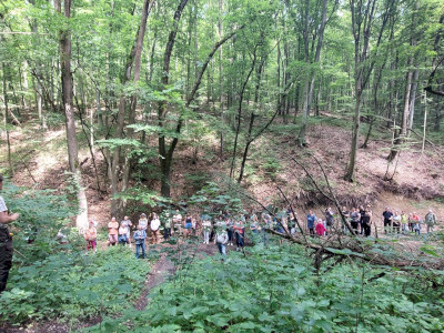 20240615_141039_1920