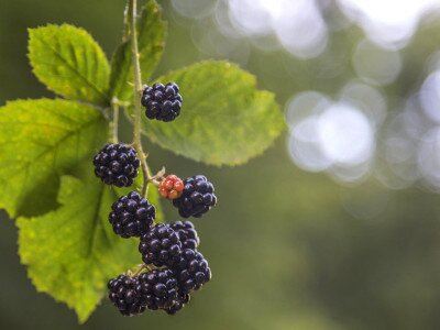 448142662_880542477449726_8423228069735583413_n_1920