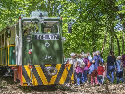 448164426_880542314116409_3016586346082012355_n_1920