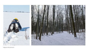 Emberéletet mentett természetvédelmi őrünk - Szerencsés véletlen az erdőben