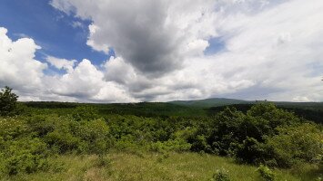 Madarak és fák napja a Harkály Házban!