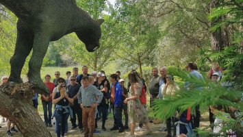 Mother Earth Day at the Miocene Park of Ipolytarnoc