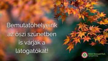 Nyitvatartás az őszi szünetben bemutatóhelyeinken