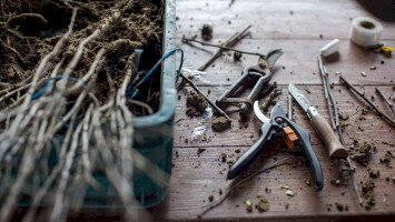 Őrizzük meg régi gyümölcsfajtáinkat – Újra oltónapok a Bükki Nemzeti Park Igazgatóságnál