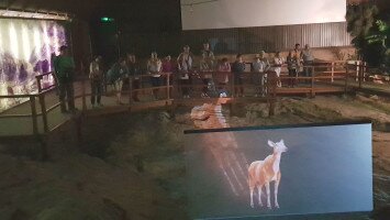 Ősvilági túra a MIocén Parkban