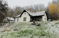 Évindító madárgyűrűzés Jávorkúton