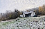 Évindító madárgyűrűzés Jávorkúton