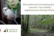 Téli madáretetés és madárgyűrűzés, valamint 