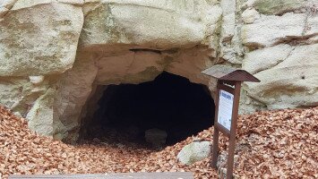 Túra a miocén ősvilág szlovák oldali fatörzsbarlangjához